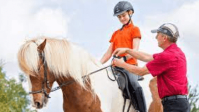 Peak Performance: Preparing Eventing Horses for Each Phase