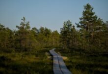exploring unconventional life journeys