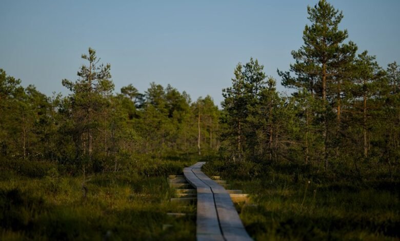 exploring unconventional life journeys