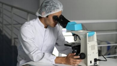 web based health exploration