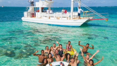 Top Ocean Tours to Try in the Dominican Republic