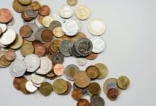 investment opportunities and insights