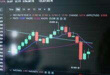 market crash survival strategies