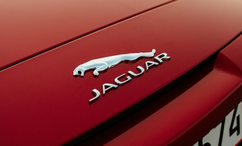 cofemel product specifications overview