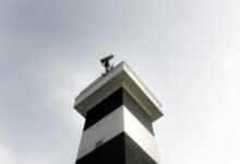 dynamic industry data analysis