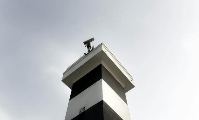 dynamic industry data analysis