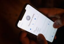 contact number with insights