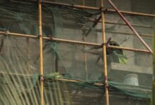 smart frameworks tools 8096124819